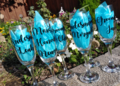Wizard Glasses Gin Beer Wine Flute Personalised Personalized Custom Wizard Weddings Best Man Usher Bridesmaid Groomsman Bride Groom Gifts