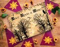 Rapunzel Floating Lanterns Woodland Wedding Guestbook Personalised Personalized Perfect for Woodland and Fairytale Weddings Scrapbook Album