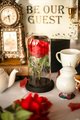 Beauty and the Beast Single Rose Perfect for Fairytale Themed Weddings Centrepiece Rustic Bo Ho Wedding Decorations Birthdays Valentines Day