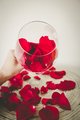 Beauty and the Beast Rose Petals Perfect for Fairytale Themed Weddings Centrepiece Rustic Bo Ho Wedding Decorations Birthdays Valentines Day