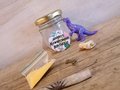 Dinosaur Kit Perfect for Dinosaur Weddings Personalised Personalized Weddings Favors Favours Baby Shower Christening Party Bags Roarsome