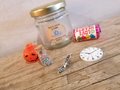 Cinderella Fairytale Kit in Jar! Perfect Fairytale Themed Weddings Favors Favours Baby Shower, Carriage Cinderella Shoe Slipper Charm Gift