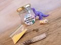 Dinosaur Kit Perfect for Dinosaur Weddings Personalised Personalized Weddings Favors Favours Baby Shower Christening Party Bags Roarsome
