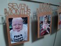 1st Birthday Bunting Garland Banner Baby Boys Girls Decor First Birthday Photo Banner Milestone Banner Decorations Brown Birthday Bunting