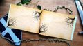 The Little Mermaid Woodland Wedding Guestbook Personalised Personalized Perfect for Echanted and Fairytale Weddings Scrapbook Album