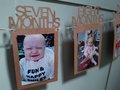 1st Birthday Bunting Garland Banner Baby Boys Girls Decor First Birthday Photo Banner Milestone Banner Decorations Pastel Birthday Bunting