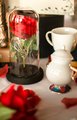 Beauty and the Beast Centrepiece Clock, Gold Candelabra,Teapot,Tea Cup,Rose Dome, Sugar Pot,Rose Petals,Single Rose,Sign Fairytale Wedding