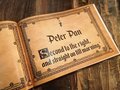 Once Upon a Time Fairytale Book Stories and Images Snow White,Rapunzel,Peter Pan,Alice,Little Mermaid,Pinocchio 100 Pages Personalized!