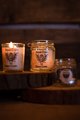 Coat of Arms Candle Small Medium Wax Bell Jar Personalised Personalized Perfect For Castle Medevil Weddings,Favor Favour Custom Name Candle