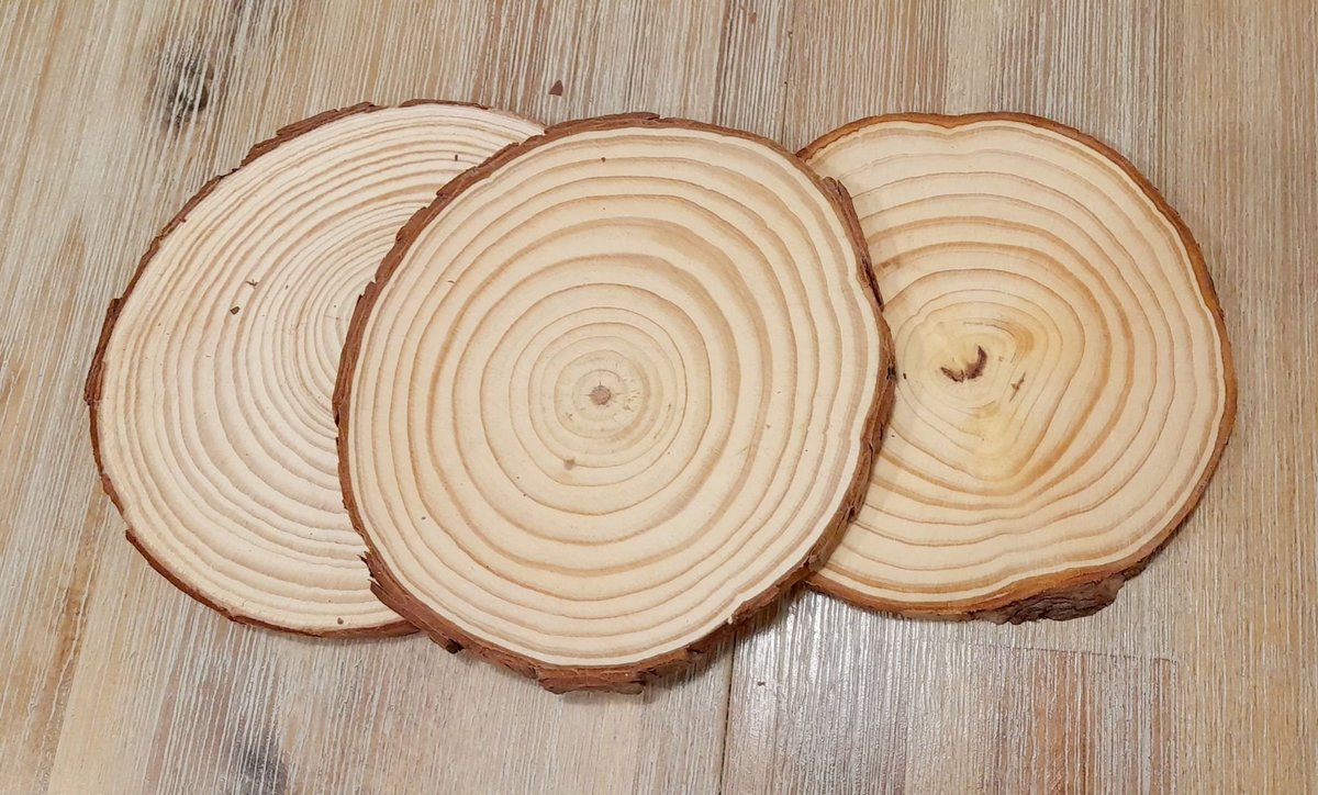 Wedding Log Slices 10 x 12-13cm Perfect For Centrepieces, Flowers, Candles, Wedding Cake, Rustic, Vintage, Boho Barn Wedding Decorations