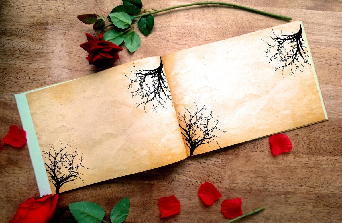 Beauty and the Beast Woodland Wedding Guestbook Enchanted Rose Personalised Personalized Perfect for French Fairytale Weddings Scrapbook