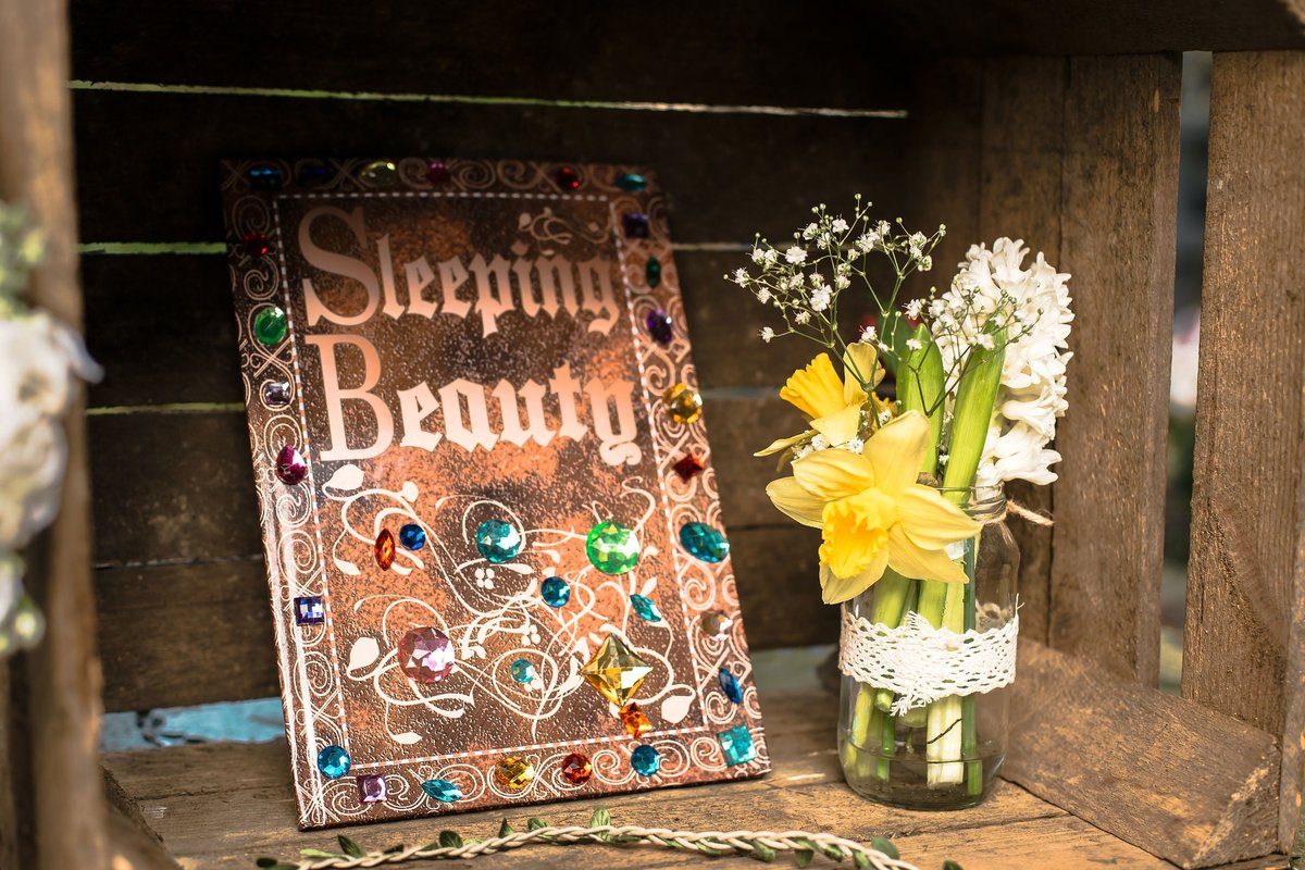 Sleeping Beauty Old Fashioned Vintage Wedding Guestbook Personalised Personalized Perfect for Vintage and Fairytale Weddings Scrapbook Album