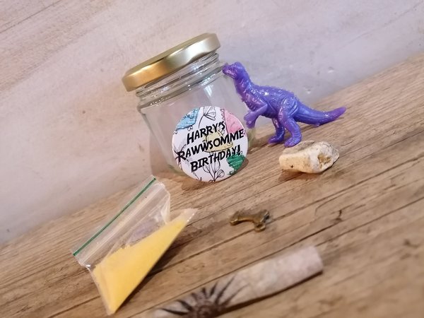 Dinosaur Kit Perfect for Dinosaur Weddings Personalised Personalized Weddings Favors Favours Baby Shower Christening Party Bags Roarsome
