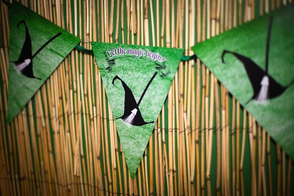 Wizard Wedding Bunting Perfect for Parties Weddings Birthdays Wizard Castle Medevil Themed Add Custom Personalisation Personalization